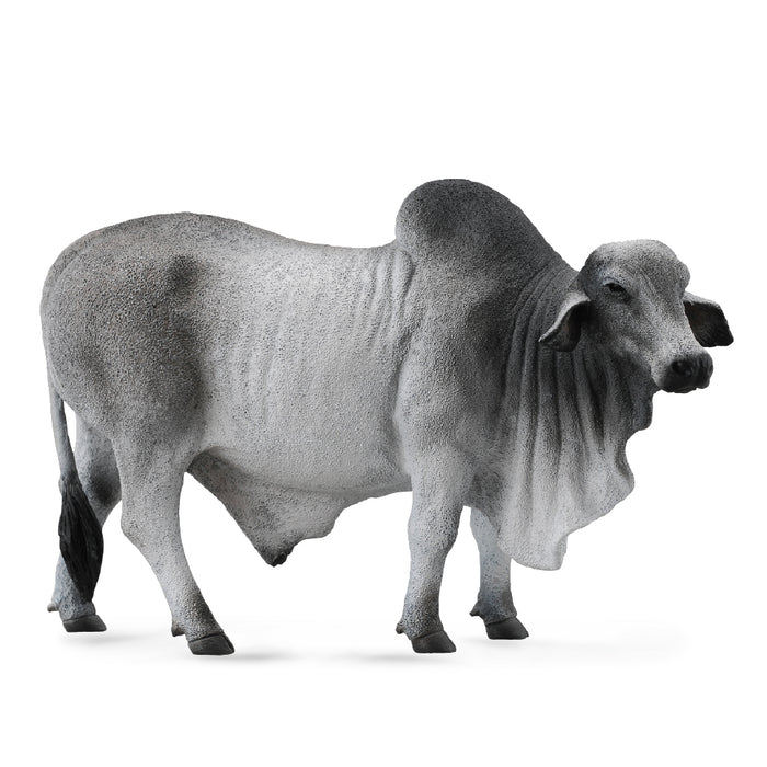 Collecta ® Grey Brahman Bull